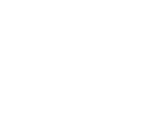 Joyous Travel