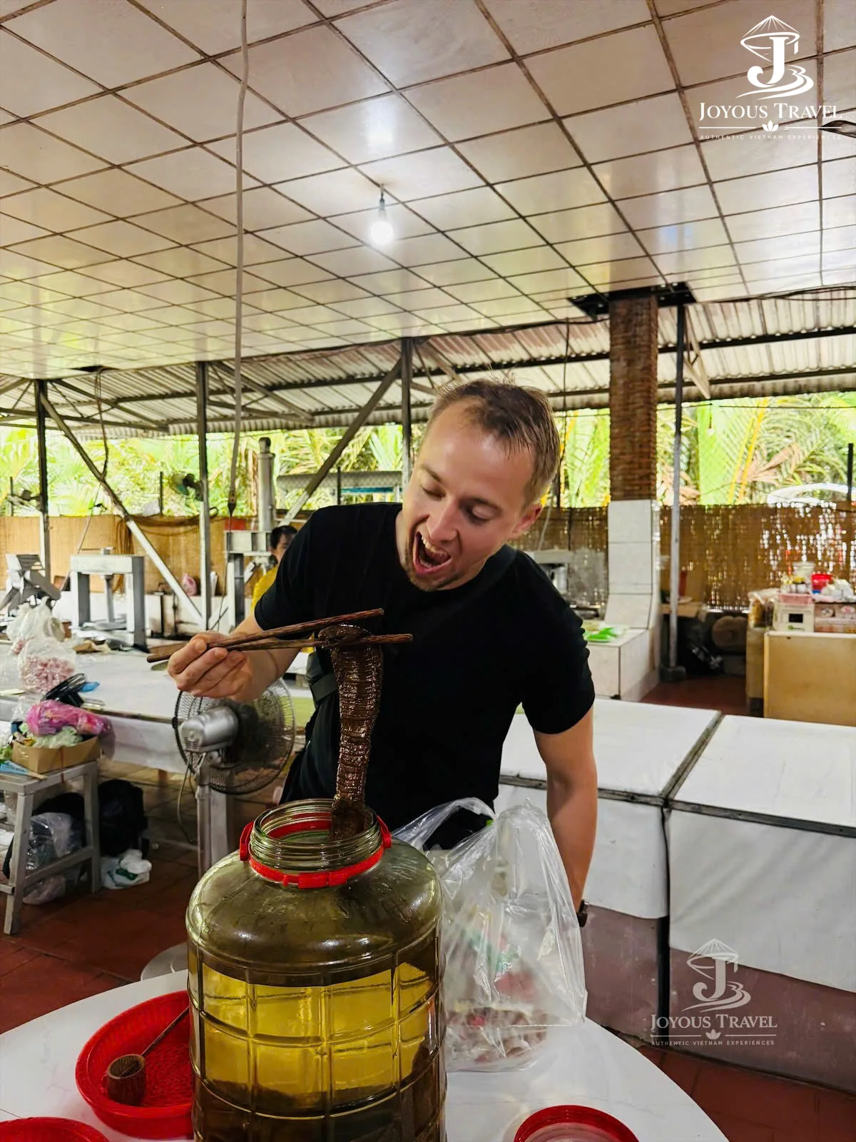 private mekong delta 1 day