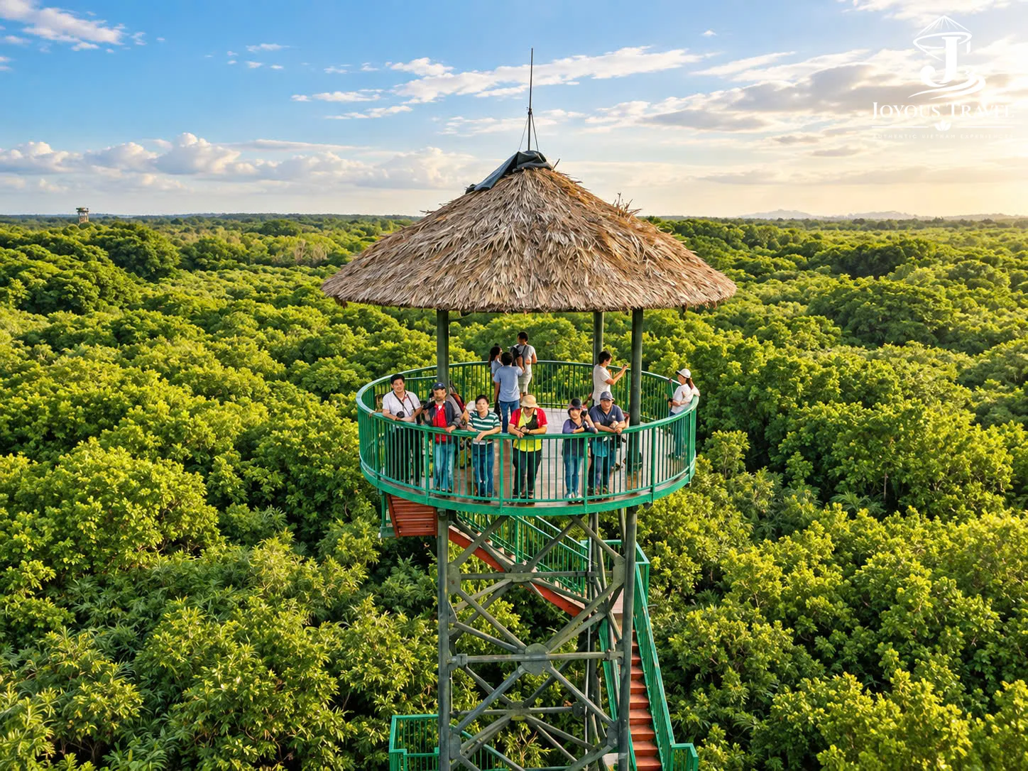 can-gio-mangrove-forest